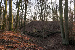 Wall und Graben der Burg am Sdhang (Foto Eismann 2019)