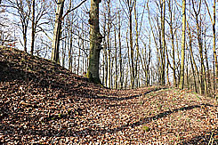 Graben und Vorwall im Osten (Foto Eismann 2019)