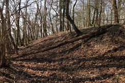 Der Abschnittsgraben im Westen der Hauptburg (Foto Eismann 2019)