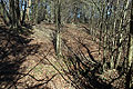 �u�erer Wall der Hauptburg (Foto Eismann 2019)