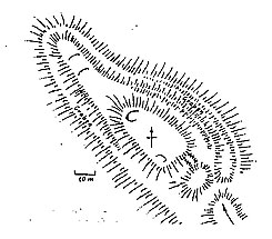Plan der Gelsterburg(aus Knappe-1995, S.-51)