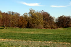 Der Burgh�gel von Heyerode (Foto Eismann 2019)