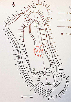 Plan der Burg Rodenberg mit den Grabungsfl�chen (aus Michl 2006, S. 129)