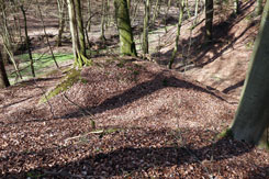 Der Halsgraben im Norden (Foto Eismann 2019)