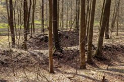 Die Burg von Osten (Foto Eismann 2019)
