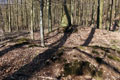 Innerer Wall und Burgh�gel von Westen (Foto Eismann 2019)
