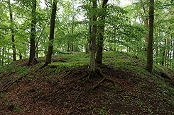 Blick auf die Hauptburg (Foto Eismann 2019)