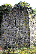 Polygonaler Eckturm der Burg, Foto Dr. Dieter Wolf, 2013