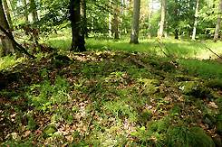 Schutthgel eines Turmes an der Befestigung (Foto Eismann 2019)