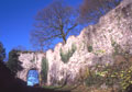 Torzwinger, Foto: H. Wagner (2002)