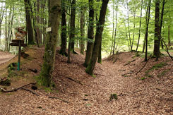 Die Befestigung am Bergfu� (Foto Eismann 2019)