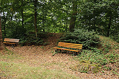 Der Wall der Ltzelburg von innen (Foto Eismann 2019)