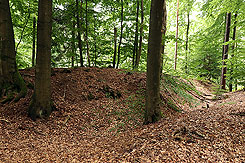 Der Wall im Norden (Foto Eismann 2019)