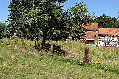 Blick auf die Hunburg von S�dosten (Foto Eismann 2019)