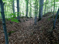 Blick in den Graben im Norden der Burg; Foto: Thorsten Sonnemann (2019)