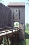 Torzwinger, Foto: H. Wagner (2002)