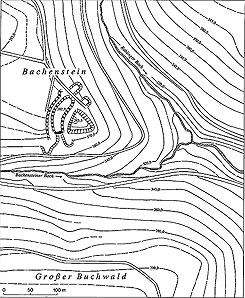 Plan von Burg Bachenstein (aus Schneider 1995, S. 41)