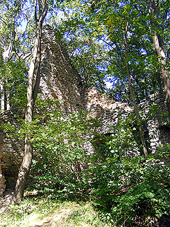 Wohnbau der Hauptburg, Hofseite. Foto: J. Friedhoff 2017.