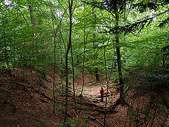 Blick von der Feldseite im Norden in den sdstlichen Grabenabschnitt, Foto: Christoph Engels (2019)