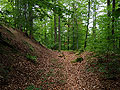 Blick auf der Grabensohle in den nordwestlichen Grabenabschnitt nach Sdwesten, Foto: Christoph Engels (2019)