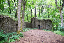 Hauptburg. J. Friedhoff 2016