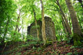 Bergfried. Feldseite. J. Friedhoff 2016
