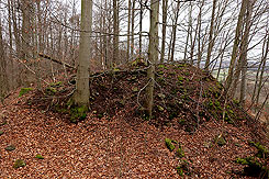 Blick auf den Burghgel (Foto Eismann 2020)