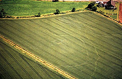 Brungershausen, Konturen im Feld, Luftaufnahme Reinhard Maurer, ca. 1989
