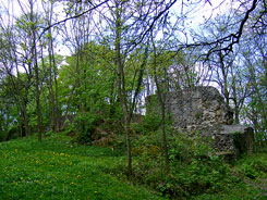 Ruine der Hauptburg vom Burghof aus. J. Friedhoff 2018