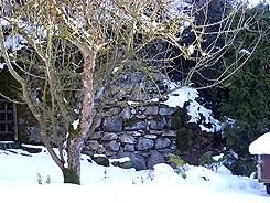 Mauerrest eines Rundturms. J. Friedhoff 2016.