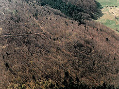 Ansicht des Wallgrabens der Hollende im unbelaubten Wald, Foto: Reinhard Maurer, Rundflug 1991, S. 15