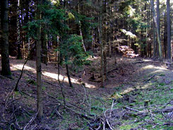 Wall-Grabensystem der Burg. J. Friedhoff 2016.