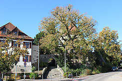 Hhenlage vermutete Burgstelle Kirche Ebersbach, Foto Jonas Froehlich (2019)