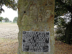 Alroth, Gedenkstein an der Burgstelle, Foto: Rasch 2016
