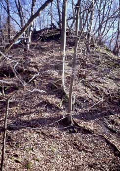 Turmh�gel, Foto: R. Friedrich (2004)