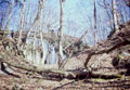 Halsgraben, Foto: R. Friedrich (2004)