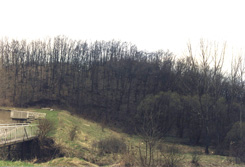 Die Burg Bibervr bei Mrianosztra . Ansicht vom N. (Foto: Zsuzsa Mikls, 1980)