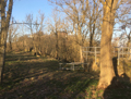 Blicl von S�den auf das Burggel�nde mit Bergfried, Foto: G. Wagner 2024