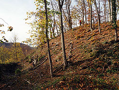 Albstadt Tailfingen Schlossberg, Blick auf die sdliche Bschung von Norden; Foto: Christoph Engels (2022).