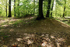 Der Walldurchbruch des Weges (Foto Eismann 2023)