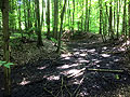 Wall, �stlich, Foto: Wagner, Mai 2023