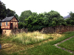 Am�nau, Ringmauer, links: Gartenhaus, Foto: G. Wagner, Juli 2023
