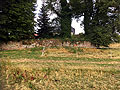 B�rgeln, westlicher Mauerzug als Teil des Gutshofs, Foto: G. Wagner Juli 2023