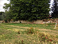 B�rgeln, westlicher Mauerzug als Teil des Gutshofs, Foto: G. Wagner Juli 2023