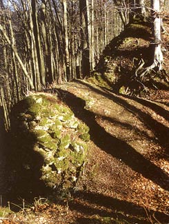 Ringmauerreste der Hauptburg, Foto: J. Friedhoff (2002)