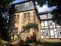 �ltester Fl�gel, Foto: Wagner 2024