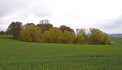 Esbeck, Gesamtansicht, Foto: J. Friedhoff 2021