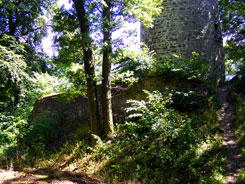 Ringmauerrest, Feldseite (Foto J. Friedhoff 2016)