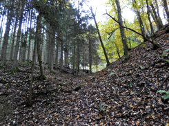 Altenberg bei Hellenthal, Foto H. Dirkes, 2023