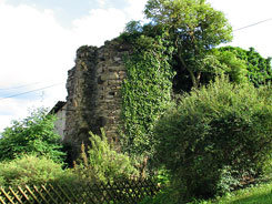 Niederburg, Foto: Reinhard Friedrich 2008